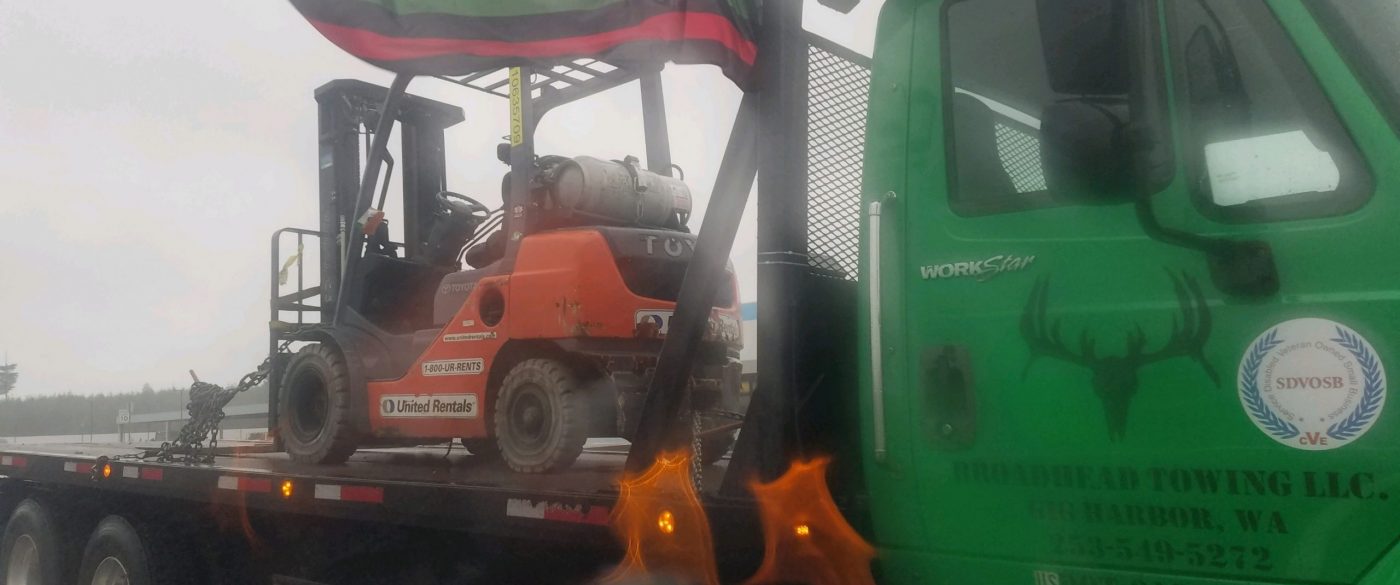 Broadhead Hauling, Forestry Mulching, and Land Clearing