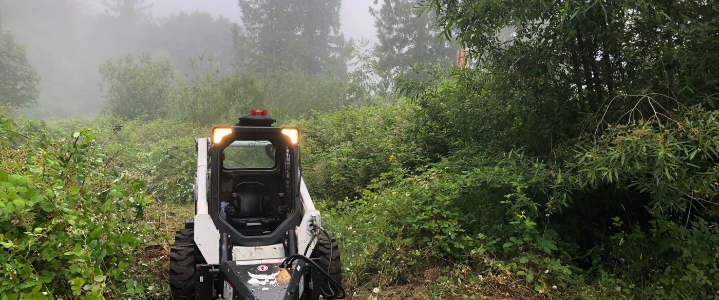 Broadhead Hauling, Forestry Mulching, and Land Clearing